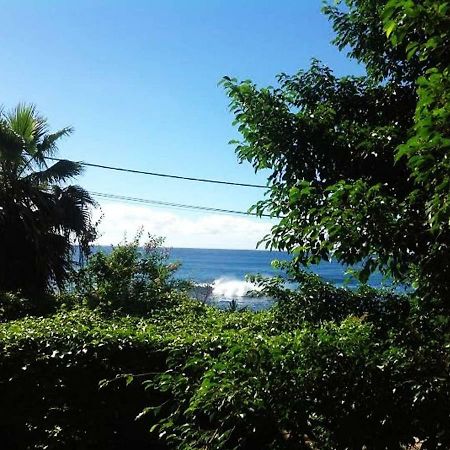 Charming 2Br Guest Suite With Ocean View Praia Exteriör bild