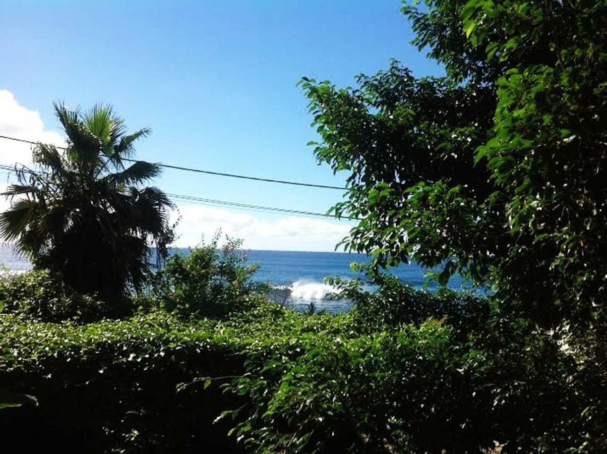 Charming 2Br Guest Suite With Ocean View Praia Exteriör bild